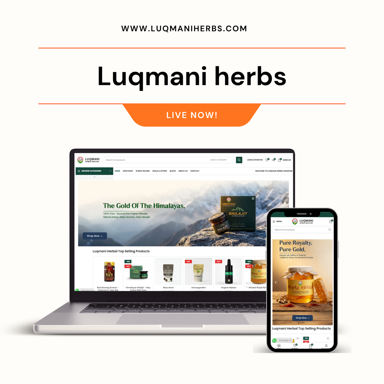 Minimalist Neutral Multi Device Computer Mockup Website Launch Instagram Post (5)